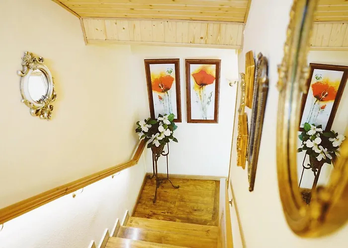 Hotell Dc Mesones 21 2*